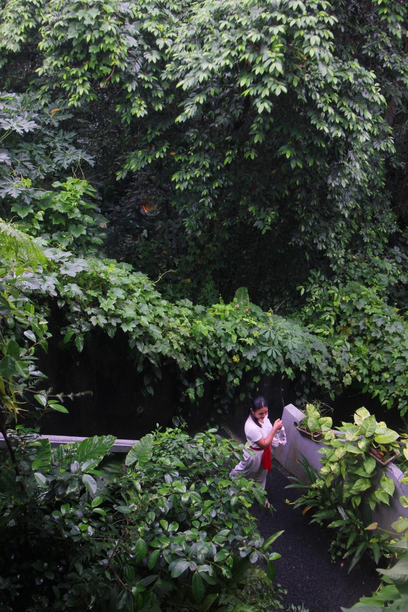 Sari Gong Guest House, A Trishula Collection Ubud Exterior foto