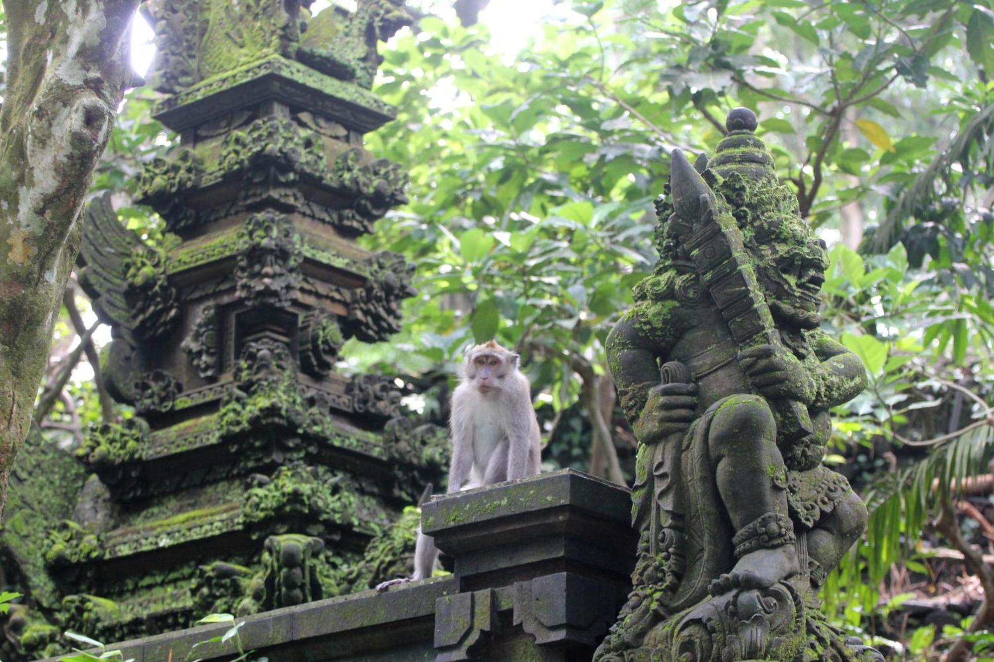 Sari Gong Guest House, A Trishula Collection Ubud Exterior foto